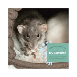 Oxbow Garden Select Adult Rat Food 1.3kg -Vetn Pet Direct Store GS adult rat animal