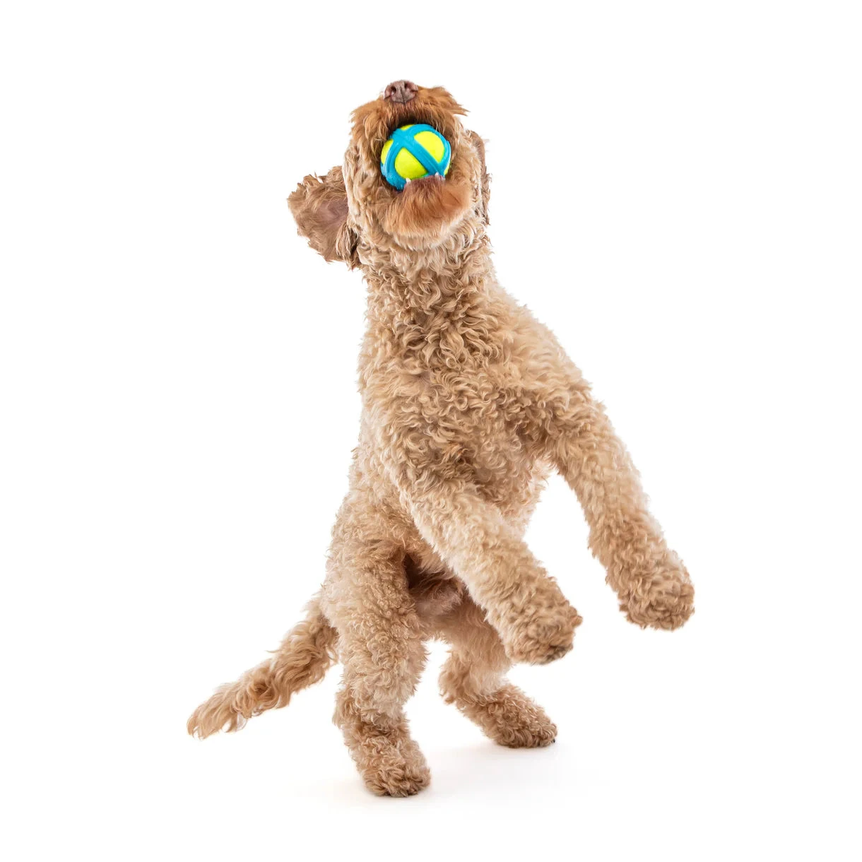 Guru Tennis Max Ball 3 Guru Tennis Max Ball - Image 3