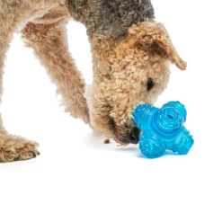 Guru Puzzle Jack 11 Guru Puzzle Jack -Vetn Pet Direct Store GURU 2686 1220x crop center 16bb24de b6b9 41c1 96b8 225b4dce2d9e