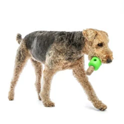 Guru Spin & Treat Stick 10 Guru Spin & Treat Stick -Vetn Pet Direct Store GURU 2721 1220x crop center 7d51be74 7265 4e81 8194 e9ca53b95c78