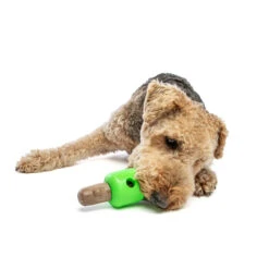 Guru Spin & Treat Stick 9 Guru Spin & Treat Stick -Vetn Pet Direct Store GURU 2745 1220x crop center acab7184 f1d6 4673 9818 e76f747506b3