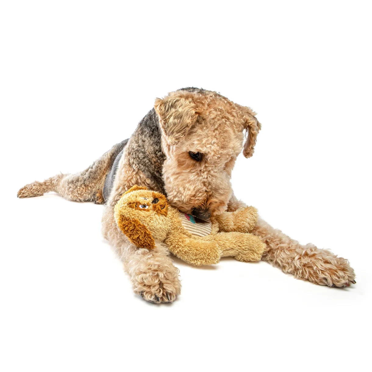 Guru Soft Scents Dog 2 Guru Soft Scents Dog - Image 2