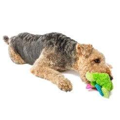 Guru Loveys Frog 8 Guru Loveys Frog -Vetn Pet Direct Store GURU 3037 1220x crop center 590c6001 d89b 4ef5 8c83 3d7f747b709f