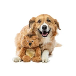 Guru Soft Scents Hedgehog -Vetn Pet Direct Store GURU 3299 1220x crop center 1ea964c5 c205 4237 9541 833af1fabf42