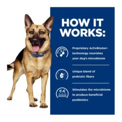 Hill's Prescription Diet Canine Gastrointestinal Biome 3.6kg -Vetn Pet Direct Store HPD cainine gastrointestinal diet details