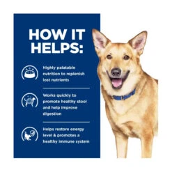 Hill's Prescription Diet Canine I/d Digestive Care With Turkey 360g X 12 7 Hill's Prescription Diet Canine I/d Digestive Care With Turkey 360g X 12 -Vetn Pet Direct Store HPD dog id digestive turkey 2
