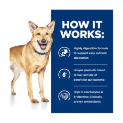 Hill's Prescription Diet Canine I/d Digestive Care With Turkey 360g X 12 8 Hill's Prescription Diet Canine I/d Digestive Care With Turkey 360g X 12 -Vetn Pet Direct Store HPD dog id digestive turkey 3