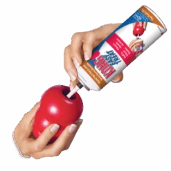 KONG Classic Red 17 KONG Classic Red -Vetn Pet Direct Store KK EDU 1 382e7526 1885 401c b5de e022559e067d