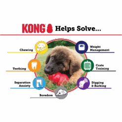 Kong Classic Red Three Pack Value Bundle -Vetn Pet Direct Store KK EDU 2