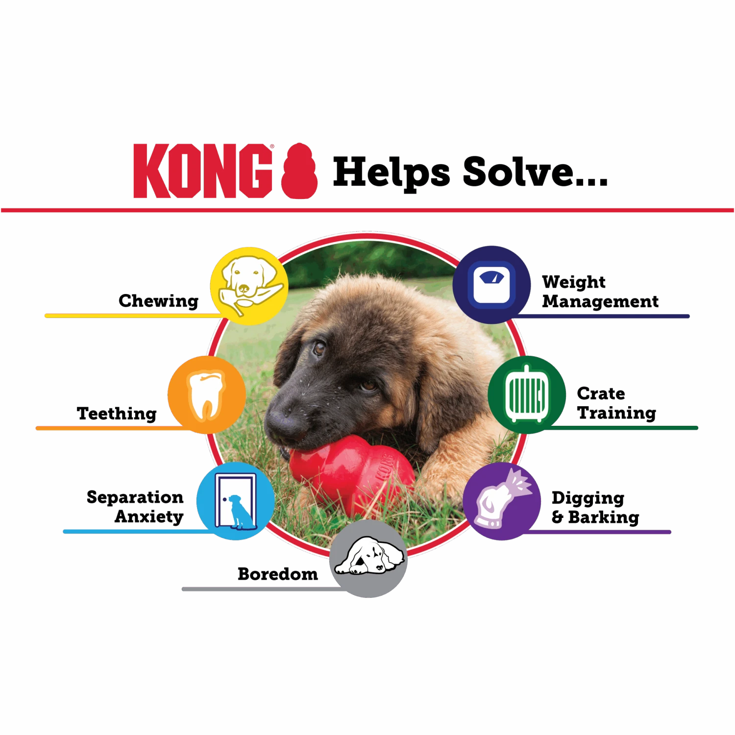 KONG Classic Red 7 KONG Classic Red - Image 7