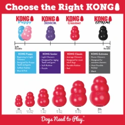 KONG Classic Red 11 KONG Classic Red -Vetn Pet Direct Store KK EDU 3 0b2bcd0a 2f37 4e8b 8ea2 a865588254ab