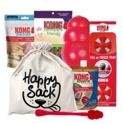 KONG Classic Stuff'n Treat Happy Sack