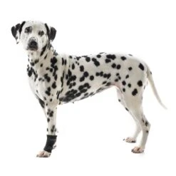 Kruuse Rehab Carpal Protector