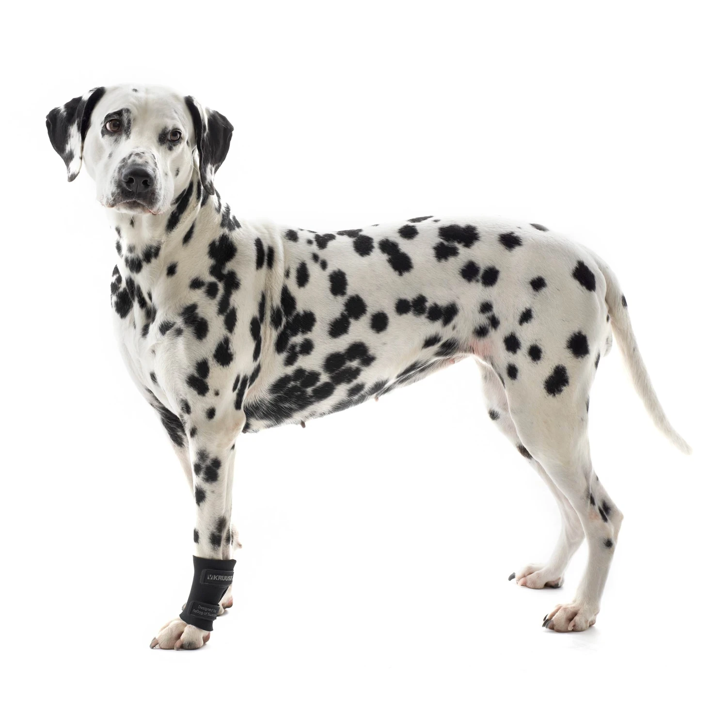 Kruuse Rehab Carpal Protector 1 Kruuse Rehab Carpal Protector