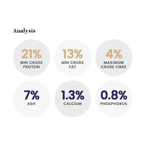 LifeWise BIOTIC F.A.S. Calm Adult Dog Food 4 LifeWise BIOTIC F.A.S. Calm Adult Dog Food - Image 4