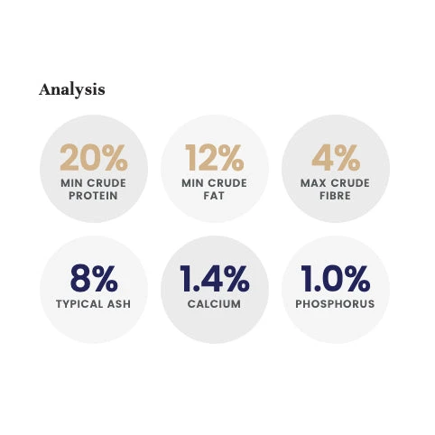 LifeWise BIOTIC Joint Adult Dog Food 6 LifeWise BIOTIC Joint Adult Dog Food - Image 6