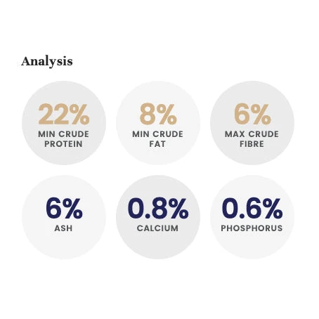 LifeWise BIOTIC Low Fat Adult Dog Food 5 LifeWise BIOTIC Low Fat Adult Dog Food - Image 5