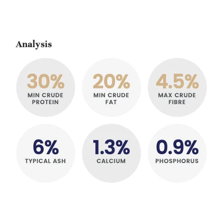 LifeWise Holistic Chicken Grain Free Adult Dog Food 3 LifeWise Holistic Chicken Grain Free Adult Dog Food - Image 3