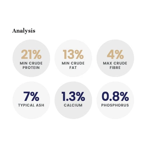 LifeWise Holistic Ocean Fish Small Bites Adult Dog Food 6 LifeWise Holistic Ocean Fish Small Bites Adult Dog Food - Image 6