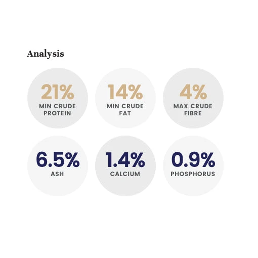 LifeWise Holistic Kangaroo Adult Dog Food 3 LifeWise Holistic Kangaroo Adult Dog Food - Image 3