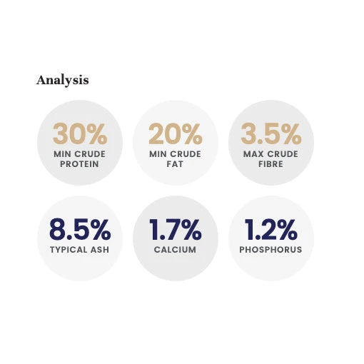 LifeWise Holistic Wild Tuna Grain Free Adult Dog Food 6 LifeWise Holistic Wild Tuna Grain Free Adult Dog Food - Image 6