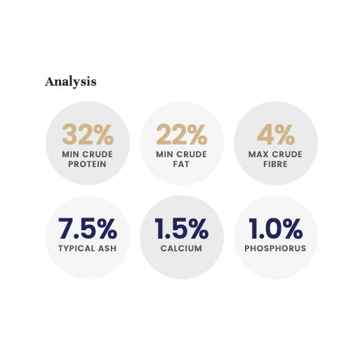 LifeWise Holistic Turkey Grain Free Adult Dog Food 3 LifeWise Holistic Turkey Grain Free Adult Dog Food - Image 3