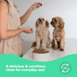 Lovebites FlexJoint Chews For Dogs -Vetn Pet Direct Store LovebitesGraphicTiles FlexJoint 05 1512x 81b768f4 5342 4420 ac84 2b72d77e3c1d