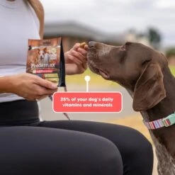 Lovebites Predamax Daily Wellbeing Chews For Dogs -Vetn Pet Direct Store Lovebites Graphic Tiles Predamax 06 1512x 7e19785a 2069 4847 8625 d545c23fb170
