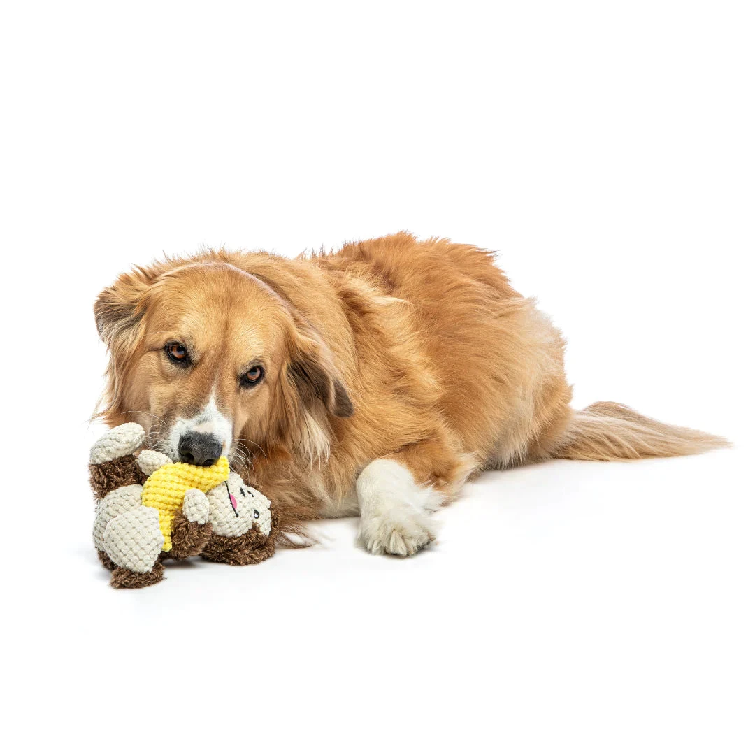 Guru Loveys Monkey 2 Guru Loveys Monkey - Image 2