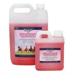 Dynavyte Luronica Joint Support For Equine Athletes
