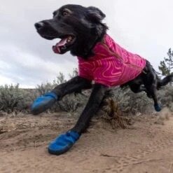 Ruffwear Hi & Light Trail Dog Shoes -Vetn Pet Direct Store P1560 Hi Light Featured1