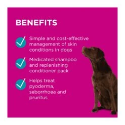 PAW MediDerm/NutriDerm Infected Skin Shampoo & Conditioner Duo Pack -Vetn Pet Direct Store PAW infected skin duo benefits