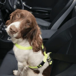 Rogz Utility Car-Safe Safety Belt Clip -Vetn Pet Direct Store ROGZ UTILITY CAR SAFE SAFETY BELT CLIP