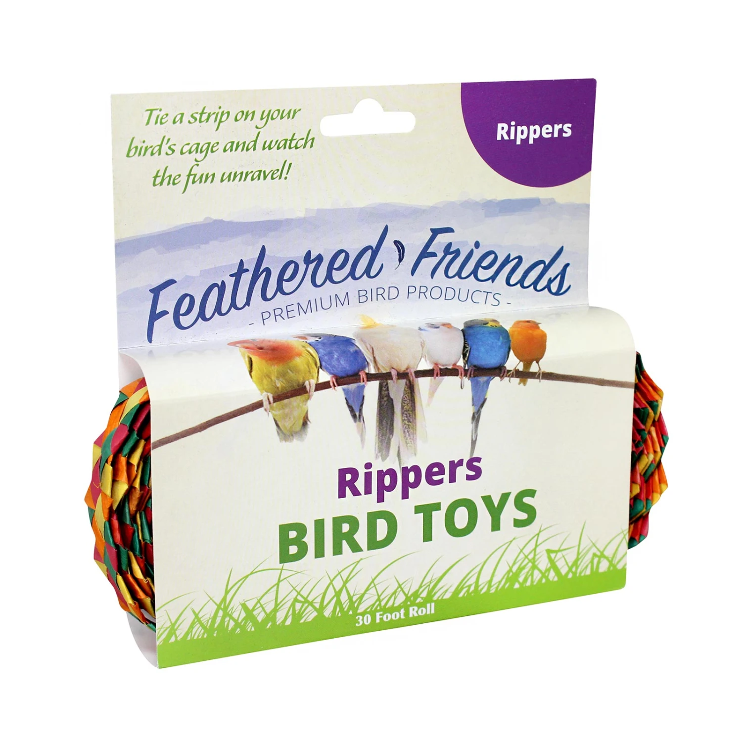 Feathered Friends Rainbow Rippers 4 Feathered Friends Rainbow Rippers - Image 4