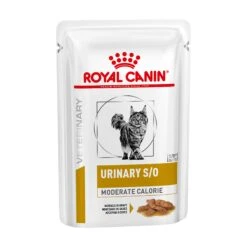 Royal Canin Veterinary Diet Feline Urinary S/O Moderate Calorie -Vetn Pet Direct Store Royal Canin Urinary SO Moderate Calorie 85g Single web