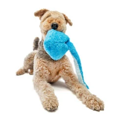 Guru Hide-A-Tail Shark 9 Guru Hide-A-Tail Shark -Vetn Pet Direct Store SharkHide A Tail 1220x crop center 832ab1d8 7500 4af5 9bac fc391250a402