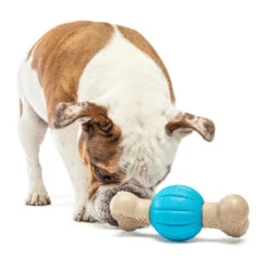 Guru Spin And Chew Bone 8 Guru Spin And Chew Bone -Vetn Pet Direct Store Spin TreatBoneSquare 1220x crop center ae26a829 84e4 4201 96a1 09cd08264f52