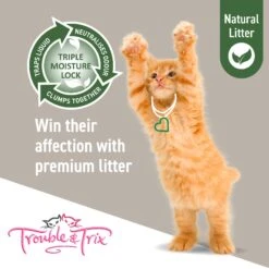 Trouble & Trix Natural Pellet Tofu Clumping Cat Litter 10L -Vetn Pet Direct Store TroubleTrix Tiles Natural 09