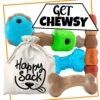 Guru Get Chewsy Happy Sack