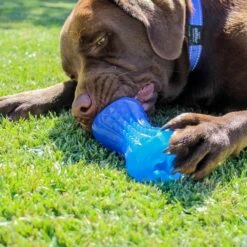 Rogz Yumz 13 Rogz Yumz -Vetn Pet Direct Store YumzBlue 1