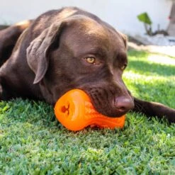 Rogz Yumz 14 Rogz Yumz -Vetn Pet Direct Store YumzOrange 4