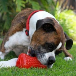 Rogz Yumz 15 Rogz Yumz -Vetn Pet Direct Store YumzRed 2