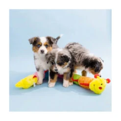 Zippy Paws Caterpillar Deluxe With 6 Blaster Squeakers -Vetn Pet Direct Store ZP caterpillar deluxe3