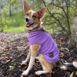 ZeeZ Cozy Fleece Dog Vest - Pearly Purple 9 ZeeZ Cozy Fleece Dog Vest - Pearly Purple -Vetn Pet Direct Store Zeez Cosy Fleece Neat2 Purple 4web