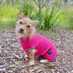 ZeeZ Cozy Fleece Dog Vest - Ruby Pink -Vetn Pet Direct Store Zeez Cosy Fleece Poppy2 Pink 4web