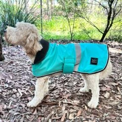 ZeeZ Dapper Dog Coat - Mint Green 10 ZeeZ Dapper Dog Coat - Mint Green -Vetn Pet Direct Store Zeez Dapper Teal 2