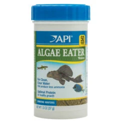 API Algae Eater Wafers Fish Food -Vetn Pet Direct Store algae eater wafers 37g
