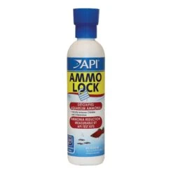 API Ammo Lock Ammonia Detoxifier 5 API Ammo Lock Ammonia Detoxifier -Vetn Pet Direct Store ammo lock 237mL