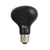 Anarchy Reptile Night Heat Lamp