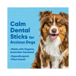 Anipal Calm Dental Sticks For Anxious Dogs 210g 7 Anipal Calm Dental Sticks For Anxious Dogs 210g -Vetn Pet Direct Store anipal calm dental sticks 1